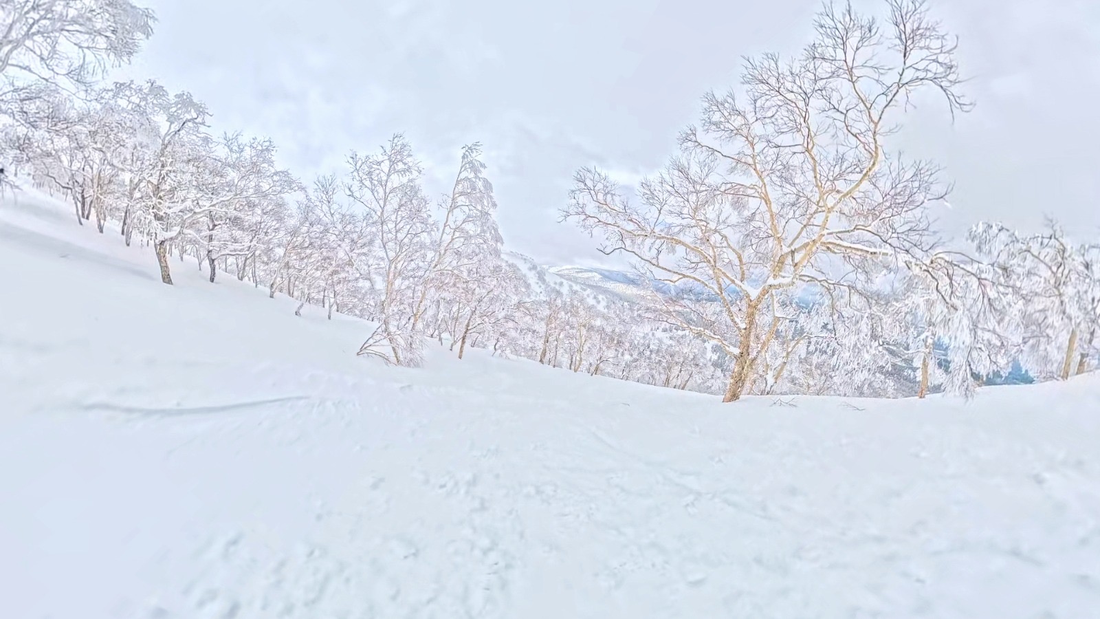 旭岳大雪山導滑實地相片 1