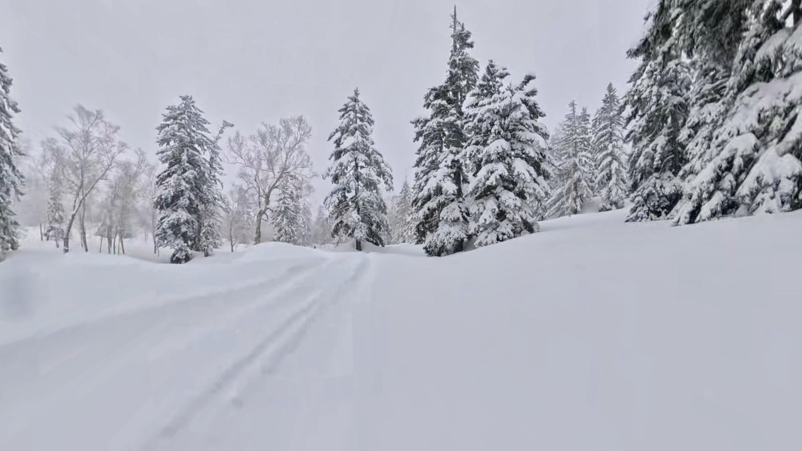 旭岳大雪山導滑實地相片 2